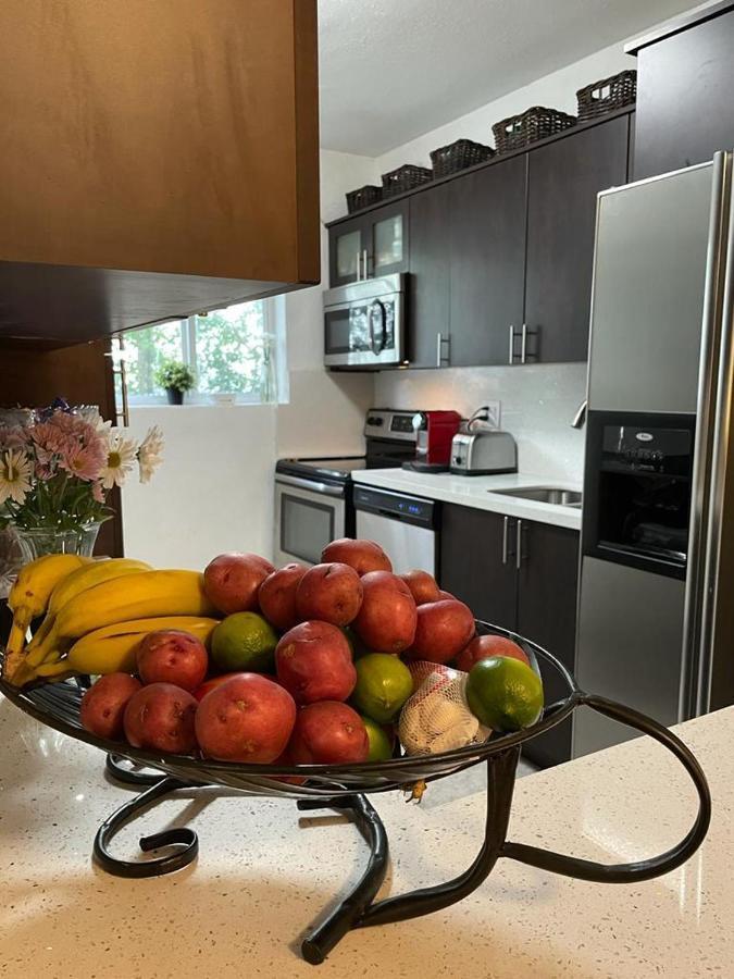 Brazilian Home Coral Gables Dış mekan fotoğraf